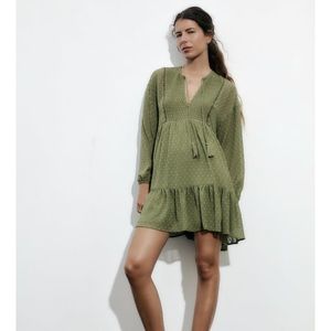 Zara Dotted Mesh Mini Dress